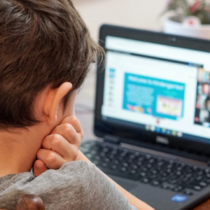 Online / Primaria / 3h a la semana Copiar